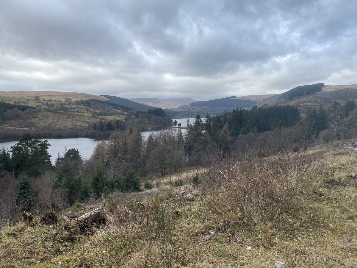 Our beautiful Welsh countryside less than five miles from where I live. So nice to see it again! #Covid_19