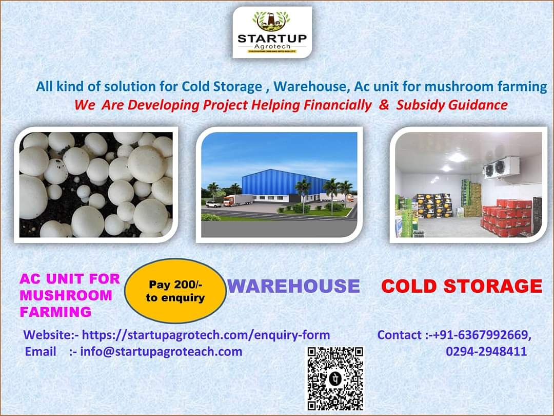 AgrotechStartup's tweet photo. बने आत्मनिर्भर  !
Warehouse cold storage AC unit mushroom farming
We are developing project helping in financially and subsidy guidance
Enquiry form - https://t.co/K9RCVZfPEM 
Website - https://t.co/7SmENA9ZVj
Email:-   info@startupagrotech.com
Phone No.:- 02942948411, 6367992669 https://t.co/QM11ifbmYo