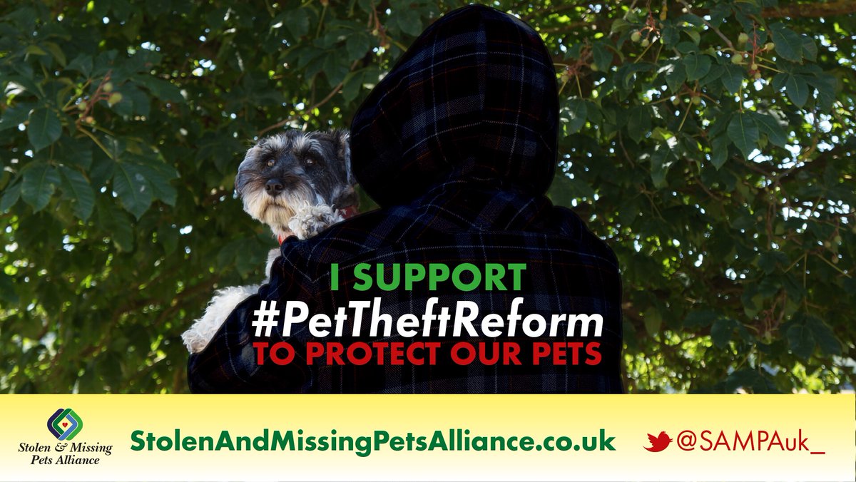 Hollywell View (@hollywellv) on Twitter photo Hello @SimonClarkeMP as my MP, please join <a href="/SAMPAuk_/">Stolen&Missing Pets</a> <a href="/Dr_Dan_1/">Dr Daniel Allen</a> in this fact based campaign to protect our dogs and cats 🐾 #getskyhome #wedoitforthedogs #PetTheftReform Hello @SimonClarkeMP as my MP, please join <a href="/SAMPAuk_/">Stolen&Missing Pets</a> <a href="/Dr_Dan_1/">Dr Daniel Allen</a> in this fact based campaign to protect our dogs and cats 🐾 #getskyhome #wedoitforthedogs #PetTheftReform