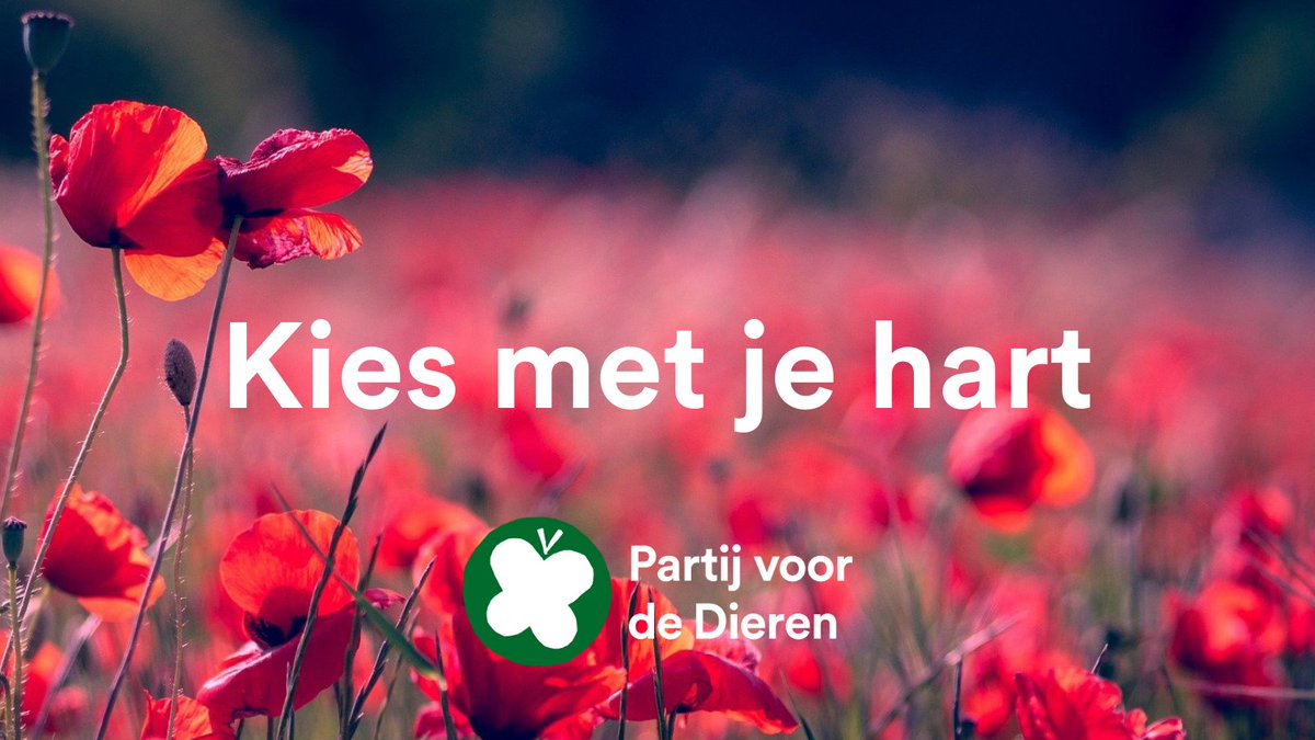 De meest strategische stem is op de #PvdD. Als aanjager laten we andere partijen harder rennen voor klimaat, dierenwelzijn en milieu. Hoe groter we zijn, hoe beter we dat kunnen. Zijn je idealen je veel waard? Stem dan strategisch. Stem Partij voor de Dieren! 💚

#ikstem #TK2021