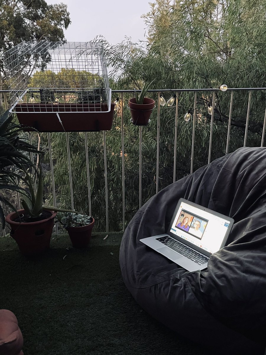 Mieke Foster tweet media