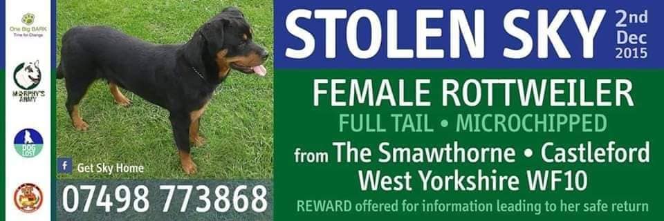 Hollywell View (@hollywellv) on Twitter photo Hello <a href="/YvetteCooperMP/">Yvette Cooper</a> as my MP when #getskyhome was stolen over 5 years ago please support #PetTheftReform and join <a href="/SAMPAuk_/">Stolen&Missing Pets</a> <a href="/Dr_Dan_1/">Dr Daniel Allen</a> in this fact based campaign to protect our dogs and cats 🐾 Hello <a href="/YvetteCooperMP/">Yvette Cooper</a> as my MP when #getskyhome was stolen over 5 years ago please support #PetTheftReform and join <a href="/SAMPAuk_/">Stolen&Missing Pets</a> <a href="/Dr_Dan_1/">Dr Daniel Allen</a> in this fact based campaign to protect our dogs and cats 🐾