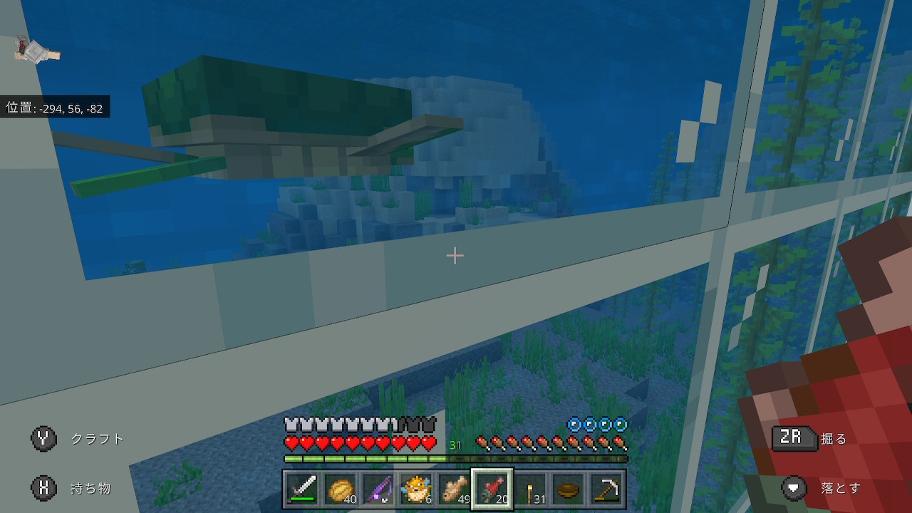 ねむこ 水中 ガラス越しのかめさん Minecraft マイクラ マインクラフト Nintendoswitch T Co Huyozinovq Twitter