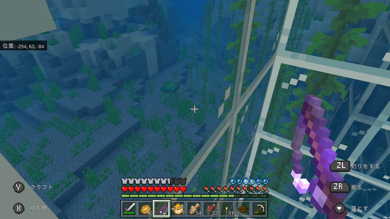 ねむこ 水中 ガラス越しのかめさん Minecraft マイクラ マインクラフト Nintendoswitch T Co Huyozinovq Twitter