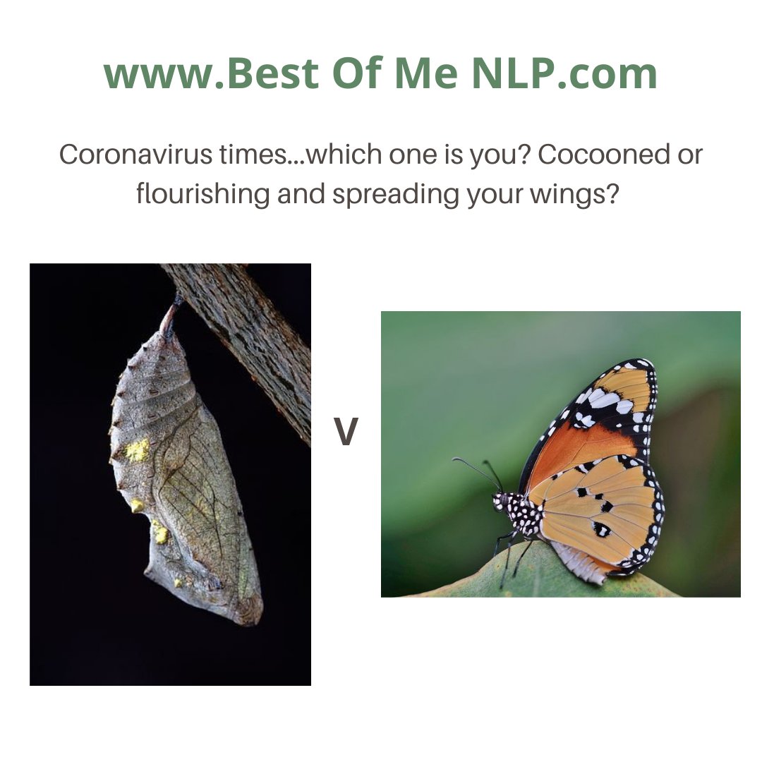 Don't stay cocooned.....find your truth find yourself!

#truetoyourself #selfbelief #selflove