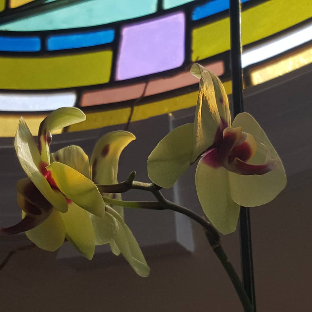 St. David’s Episcopal Church tweet media