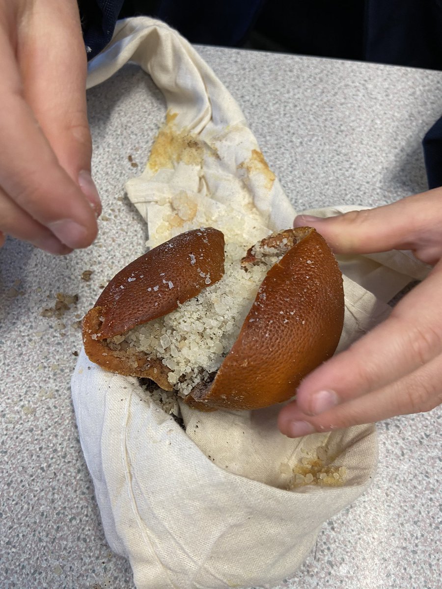 Lots of funny noises in this morning’s lesson! 3F are reviewing their mummified oranges that they did 2 weeks ago 🍊🍊 Yuck! <a href="/Habsmonmouth/">Haberdashers' Monmouth School</a> <a href="/MonBoysPrep/">Monmouth Boys' Prep</a> #Humanities #Mummification