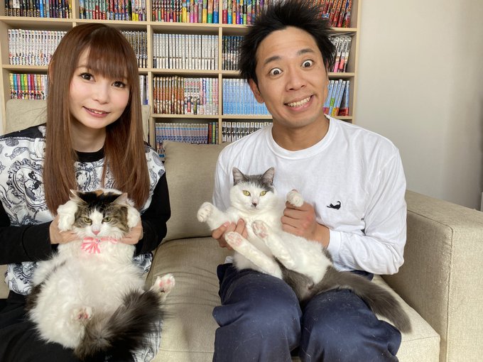 猫好きだと思う芸能人 ランキングtop10 1位は 中川翔子 さん 21年調査 1 3 ねとらぼ調査隊