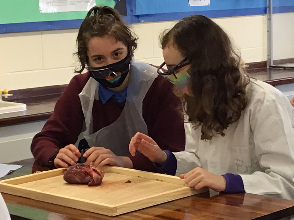 Science | Chase Grammar tweet media