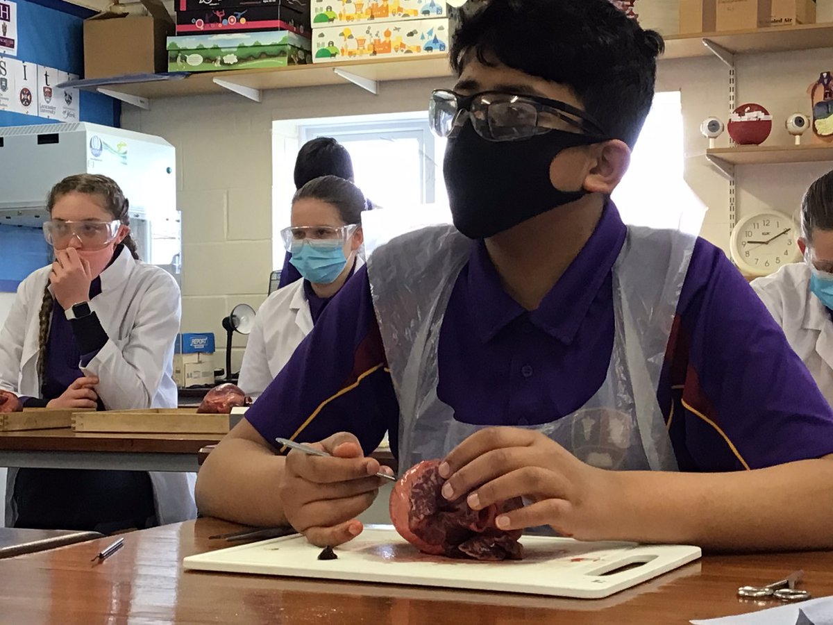 Science | Chase Grammar tweet media
