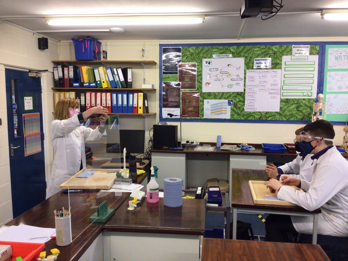 Science | Chase Grammar tweet media