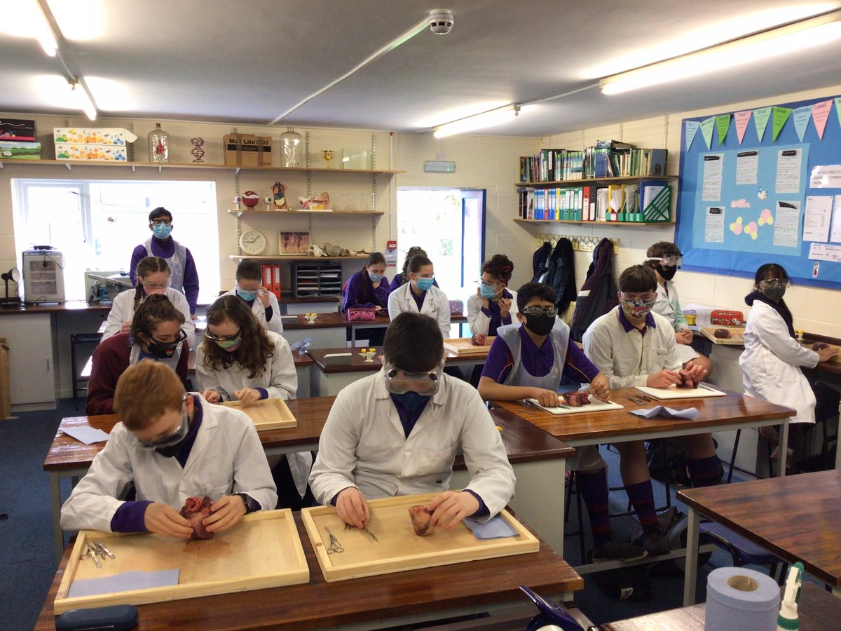Science | Chase Grammar tweet media