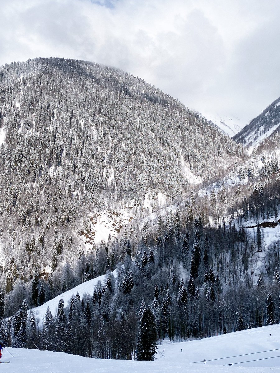 midsochi's tweet image. Благодаря устойчивому снежному покрову на трассах курортов Красной Поляны горнолыжный сезон в Сочи продолжается❄️☃️