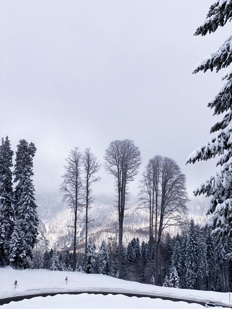 midsochi's tweet image. Благодаря устойчивому снежному покрову на трассах курортов Красной Поляны горнолыжный сезон в Сочи продолжается❄️☃️