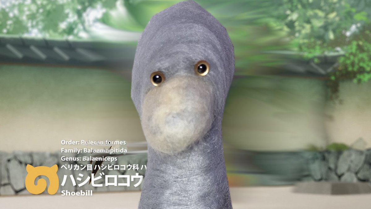 ごめんね 完成させてあげられなくて 羊毛フェルトでハシビロコウ作ったら物凄い虚無感を醸し出してきた これはこれで Togetter ごめんね 完成させてあげられなくて 羊毛フェルトでハシビロコウ作ったら物凄い虚無感を醸し出してきた これはこれで Togetter