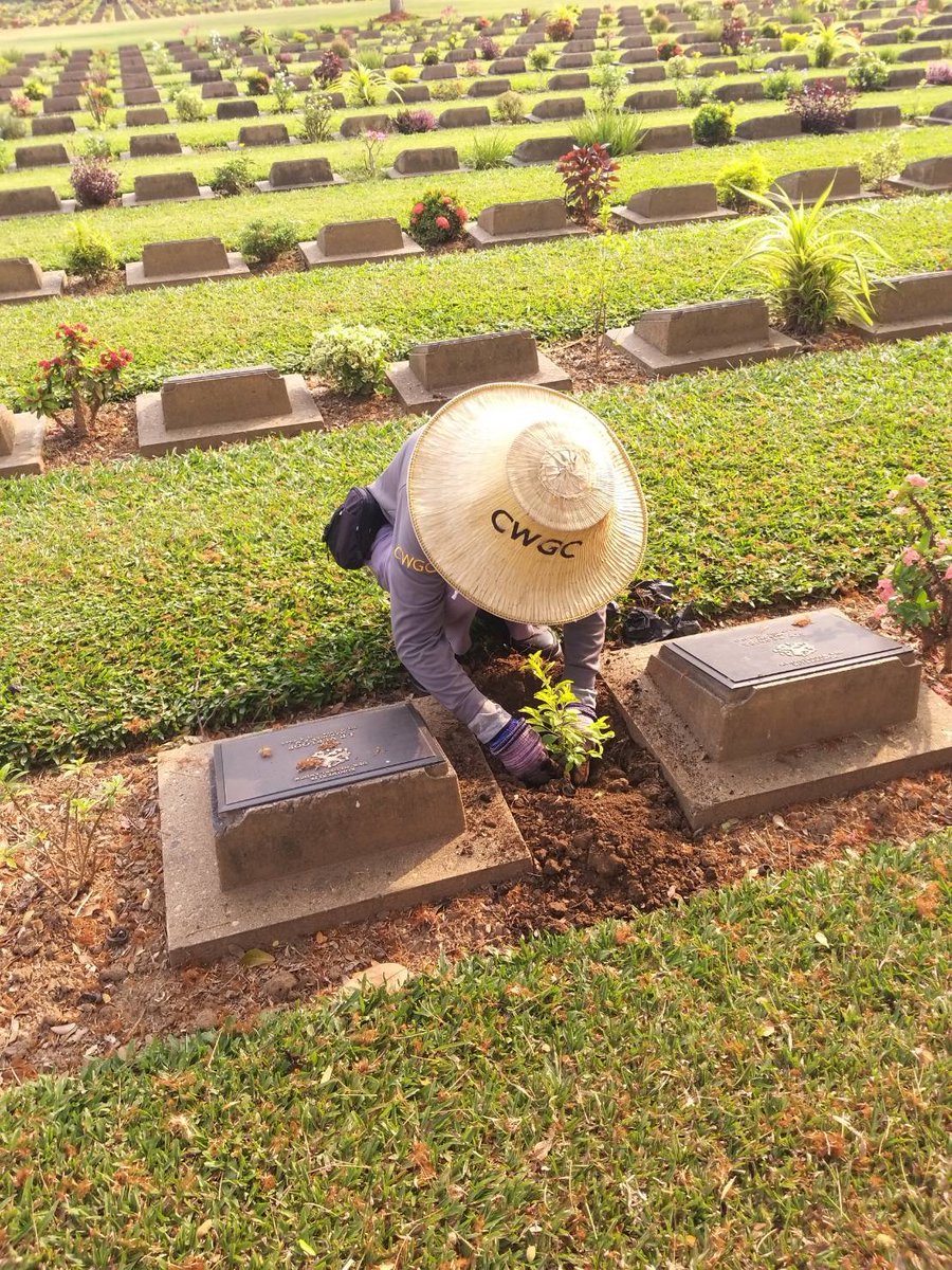 RT @KanCwgc: St Patrick's day and keeping things green by replacing some plants that have suffered in the heat, also using our home produced compost #GlobalGreening #kanchanaburiwarcemetery @CWGC