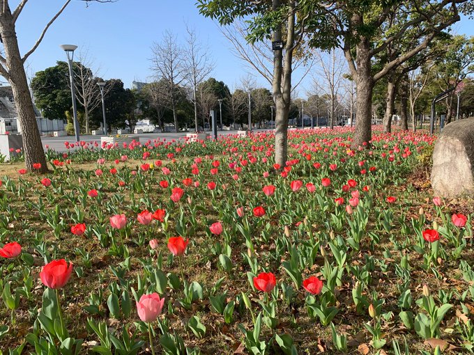 武蔵野大学 Musashino Univ Twilog