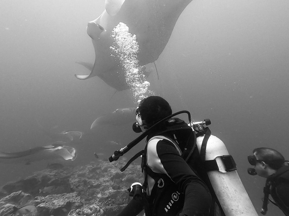 Selfie with mantas in the Maldives. 

📷: Rajiv Ramnane

<a href="/AquaLungDivers/">Aqualung</a>

#Maldives #manta #mantacleaning #divetravel #holidays #AquaLung #divegear #liveaboard #divelife