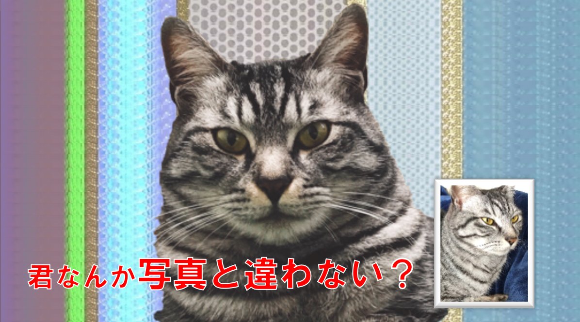 君なんか写真と違わない Hashtag V Twitter 君なんか写真と違わない Hashtag V Twitter