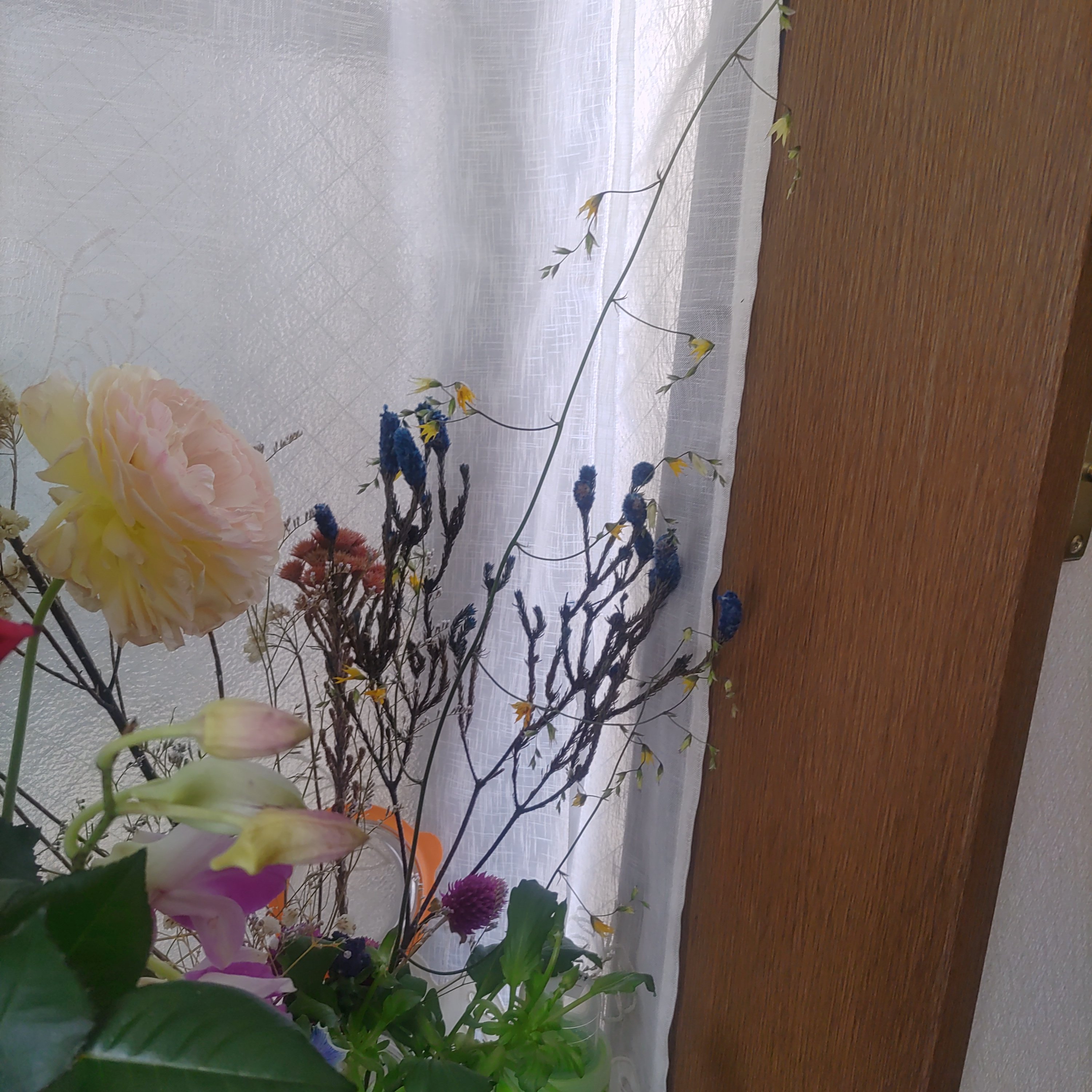 ま Maso N Twitter