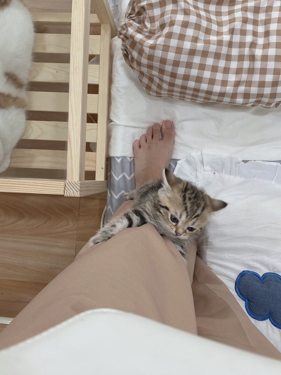 หนีเที่ยวกันหรอ! เอาหยองไปด้วยยยย