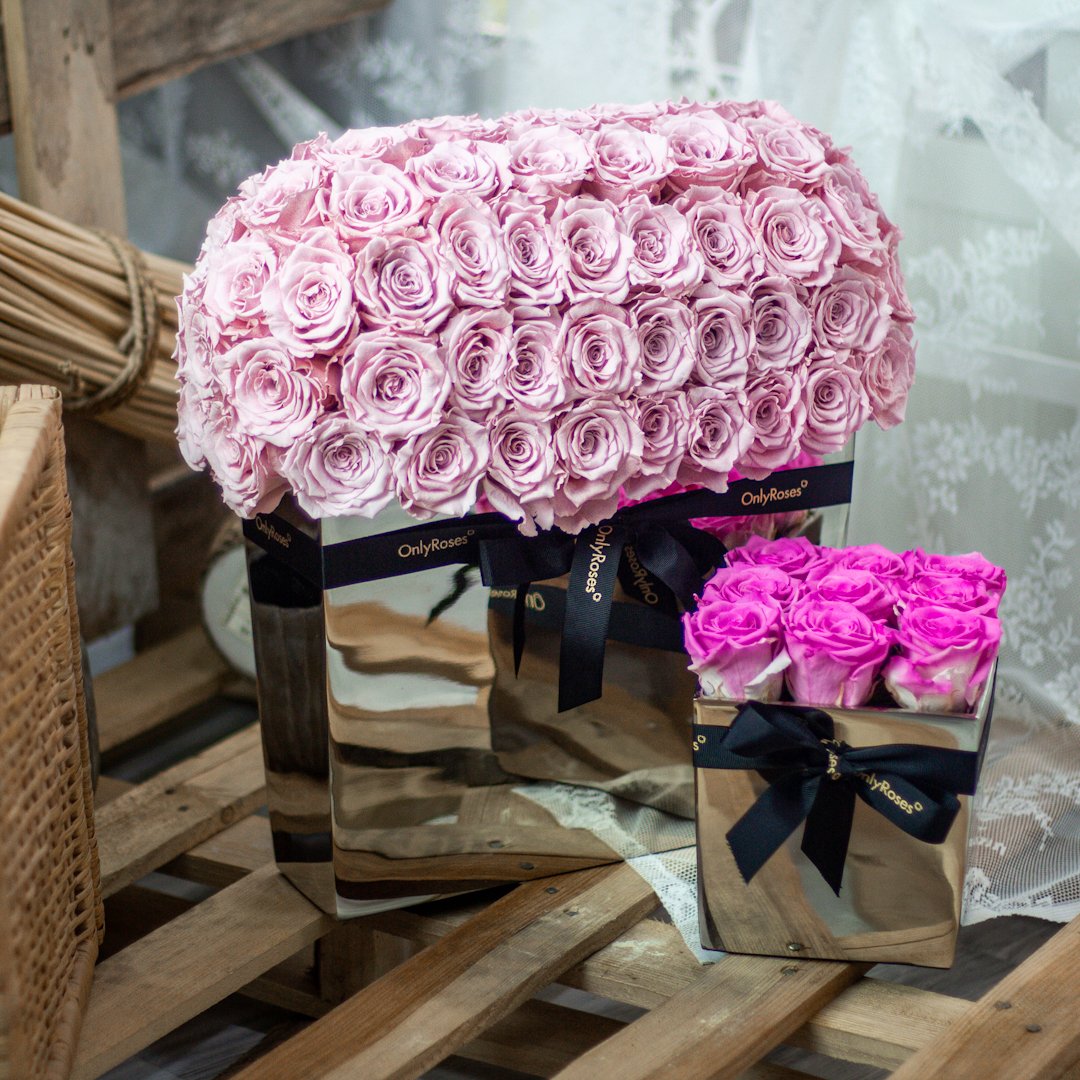 OnlyRoses tweet media