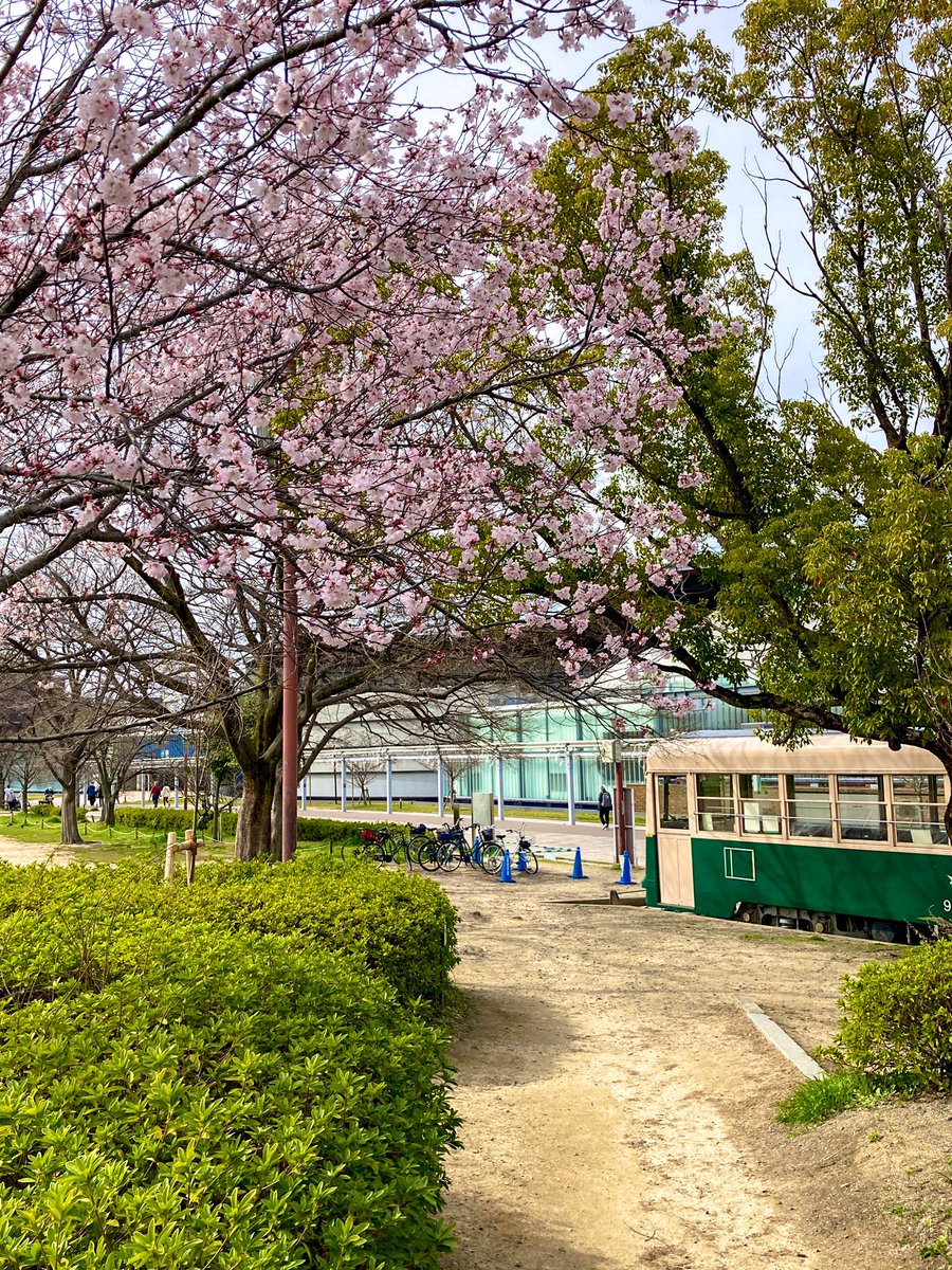 イノっちー On Twitter 桜 梅小路公園 京都 Photo Iphonese2 東本願寺のあと 北上しようか と思っていましたが青空はないし 重要 着て行った服を間違えて寒いし という事で帰りながら途中で梅小路公園へ立ち寄りました