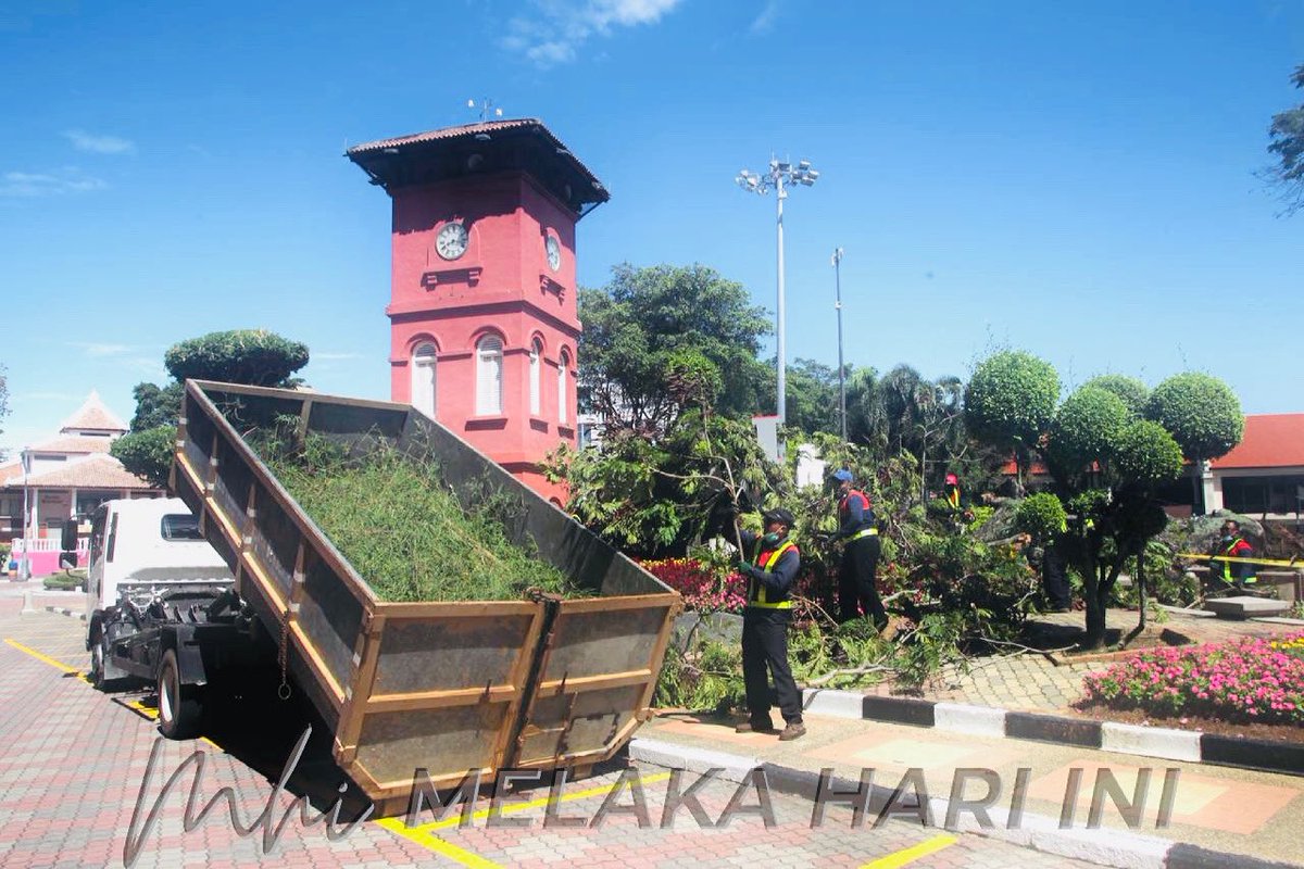 Pokok Ikonik Berusia Lebih Seabad Rebah Di Bandaraya Bersejarah Semasa Mstar