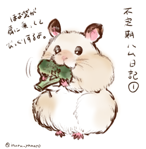 ハムスター絵のtwitterイラスト検索結果 ハムスター絵のtwitterイラスト検索結果