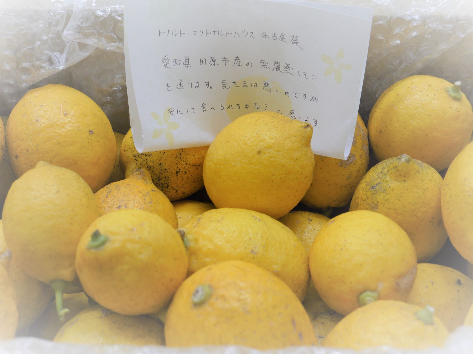 なごやハウス 静岡の方からレモンがたくさん届きました 愛知県の田原市で収穫された無農薬の安心レモンです 柑橘の いい香り 皮まで安心して使えます はちみつに漬けたり レモネードにしたり いろいろな方法で楽しんでもらえそうです