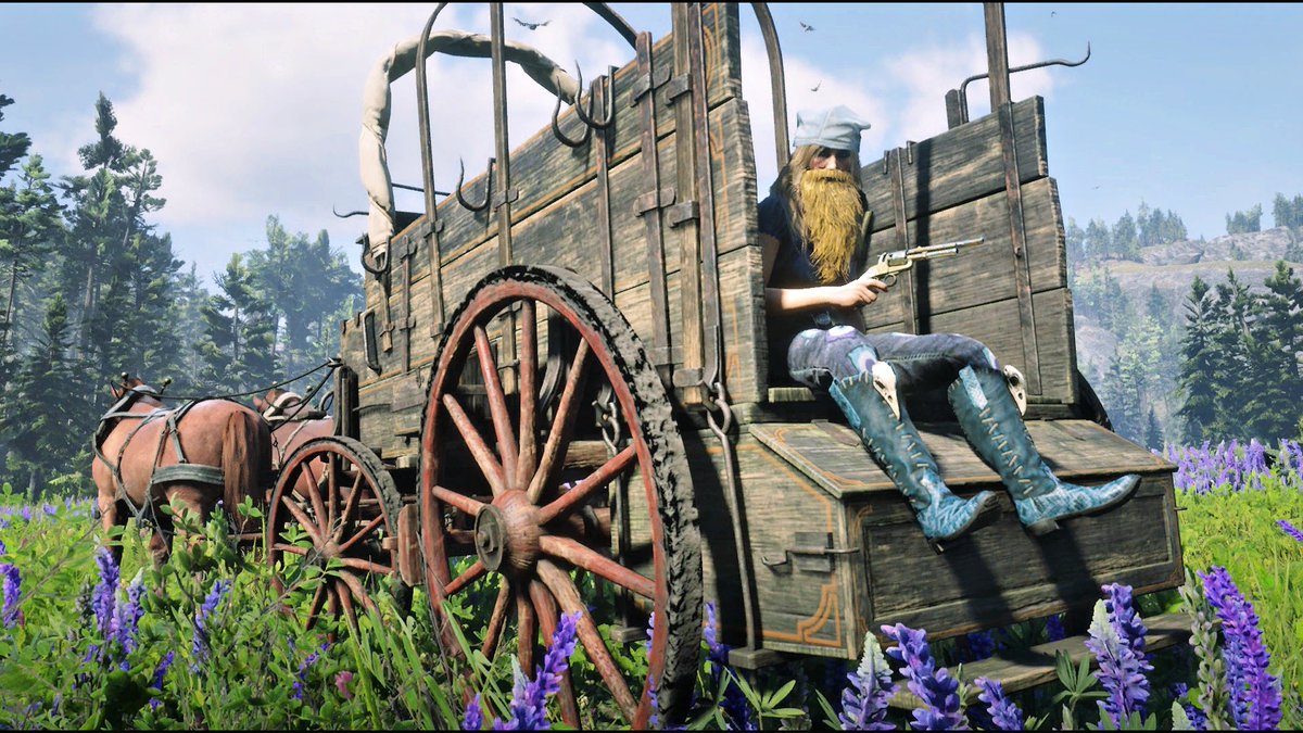 Ms. Rip Van Winkle @RockstarGames #RDR2Online #RDR2 #RockstarGames #...