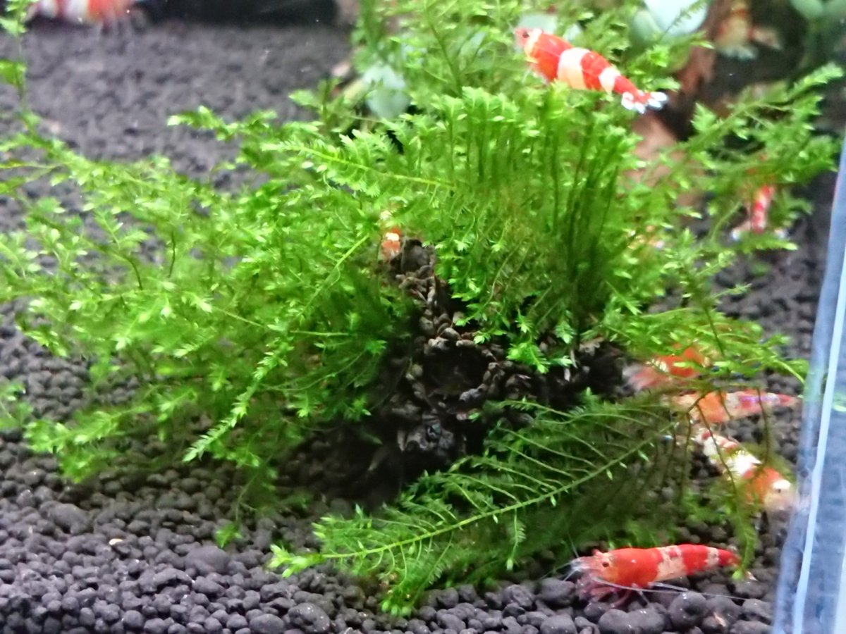 Kai Wxscm014 Twitter