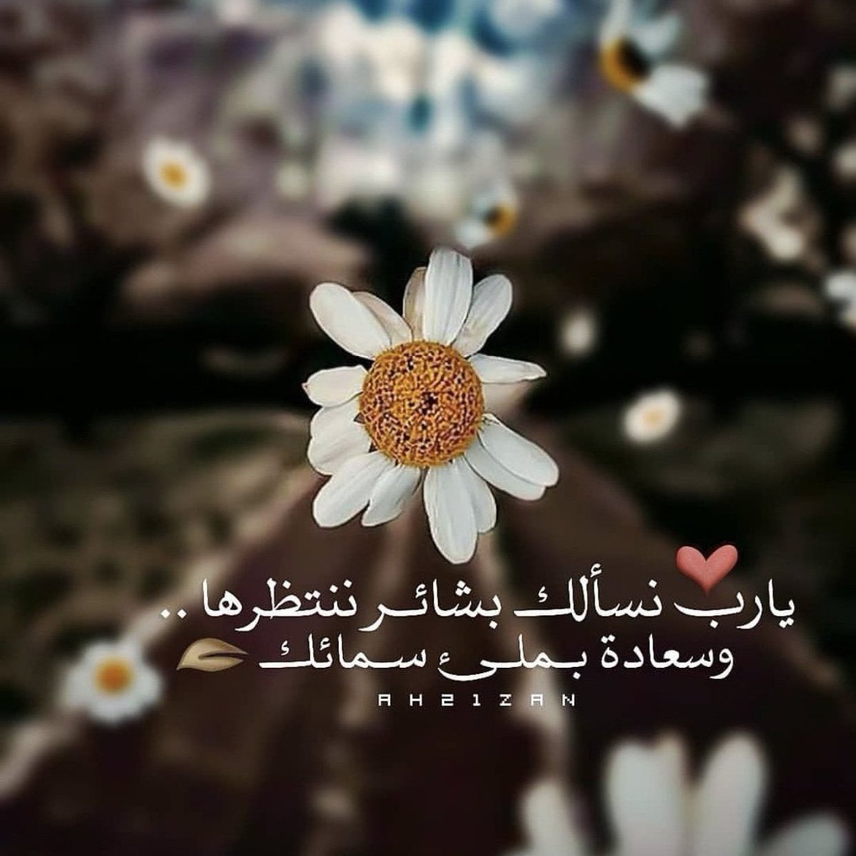 malmutayre's tweet photo. اللهم إنا نسألك في هذا الصباح
نفوساً مطمئنة تؤمن بلقائك..
وترضى بقضائك..
وتقنع بعطائك..
 #صباح_الخير https://t.co/e15ud6UiQ1
