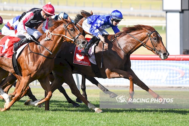 TBV (@vicbreeders) on Twitter photo A win first up! SHANDY got the VOBIS Gold bonuses <a href="/MelbRacingClub/">Melbourne Racing Club</a> Lakeside today for @ellertonzahra and <a href="/LaneDamian/">Damian Lane</a>. By <a href="/SunStudHQ/">SUN STUD</a> sire FIORENTE, the mare is a homebred for S, D & C Rose, B Wilson and C Keating and others. Congratulations! A win first up! SHANDY got the VOBIS Gold bonuses <a href="/MelbRacingClub/">Melbourne Racing Club</a> Lakeside today for @ellertonzahra and <a href="/LaneDamian/">Damian Lane</a>. By <a href="/SunStudHQ/">SUN STUD</a> sire FIORENTE, the mare is a homebred for S, D & C Rose, B Wilson and C Keating and others. Congratulations!