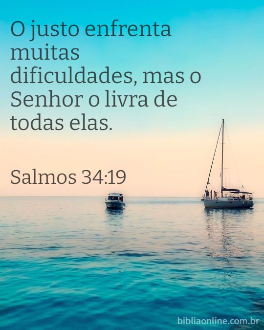 lisa_vander's tweet photo. Pois o Senhor protege os ossos do justo; nem um sequer será quebrado.
A calamidade certamente destruirá os perversos, e os que odeiam o justo serão castigados.

Salmos 34:20,21 https://t.co/qzBuwRvprn
