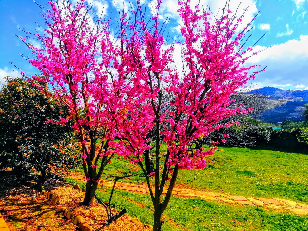 @cprcamino1 tweet media