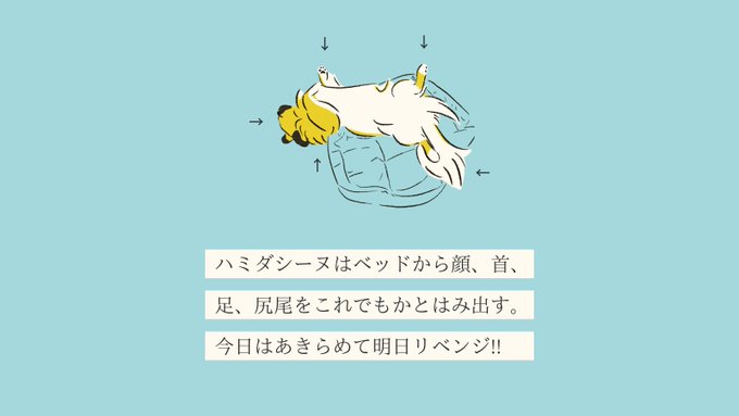 「金髪 漫画」のTwitter画像/イラスト(新着)｜8ページ目