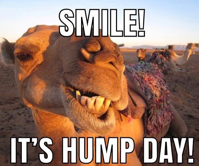 LinseyAvon's tweet photo. We’ve made it to Wednesday 😁😁 #humpday #halfwaythere #avon https://t.co/0l22o4Cahw