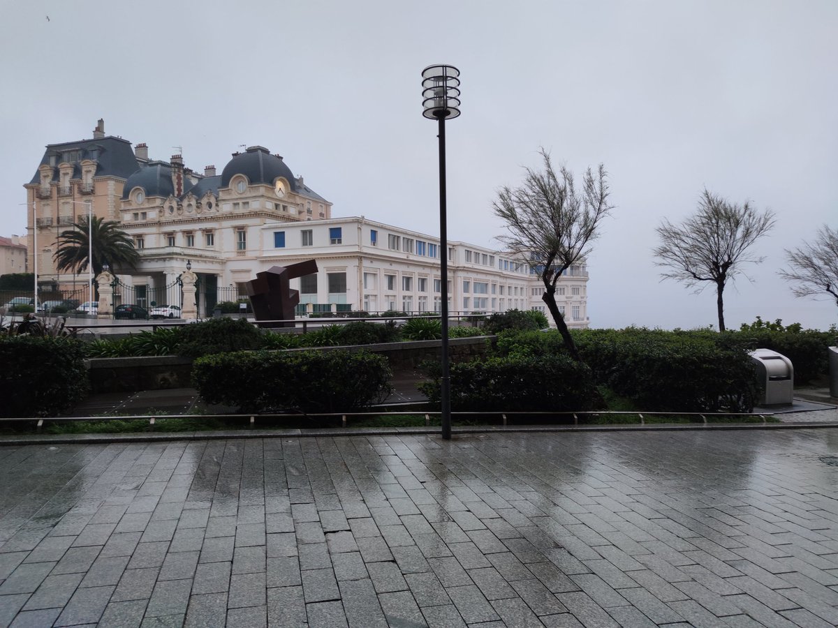 Catharbo tweet media