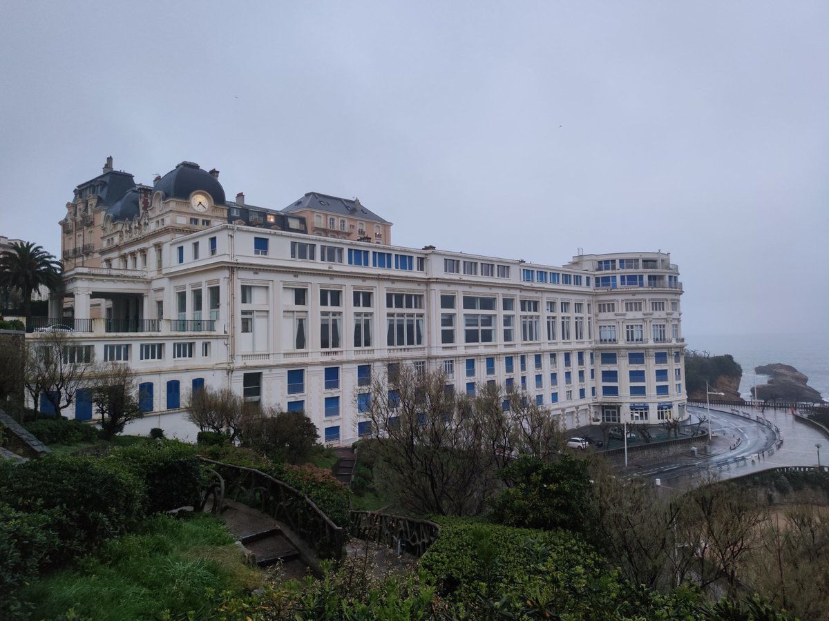 Catharbo tweet media