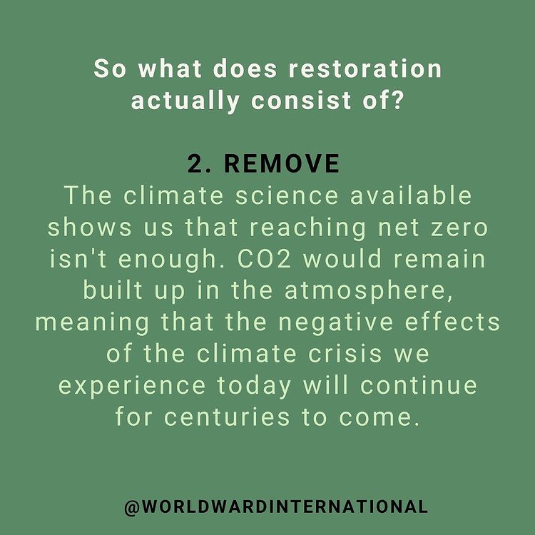 Grace Remigius tweet media