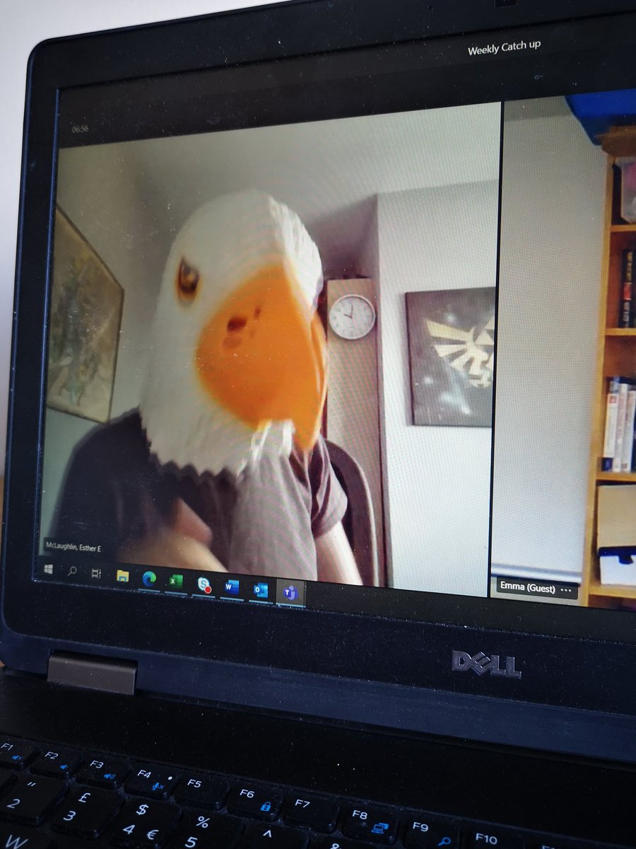 shellenicholson's tweet photo. @emmaplayer32 @EstherCiP Ahhh you guys!! Thanks Esther and Emma for the most amazing 7 months!! P's I've taken care of my replacement... New bird in town (😂). The National SC is in amazing hands guys! You got this 👊 https://t.co/557SST2Skm