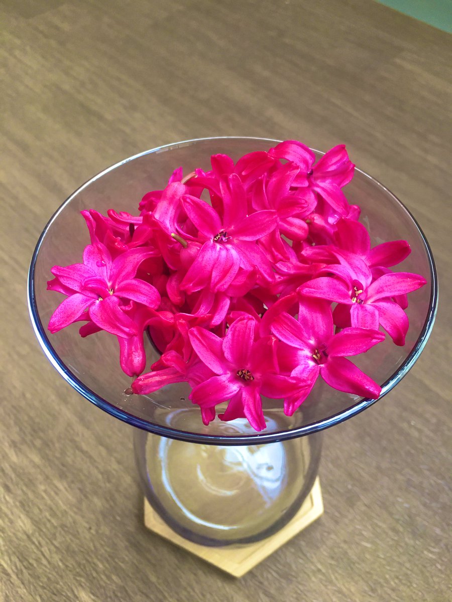 ifUok's tweet photo. 摘んだヒアシンスの花びらを捨てるのがもったいないので花瓶の上皿に集めて置いたらキラキラインスタ女子みたいになったので貼っておきますね https://t.co/UvJeTwnaej