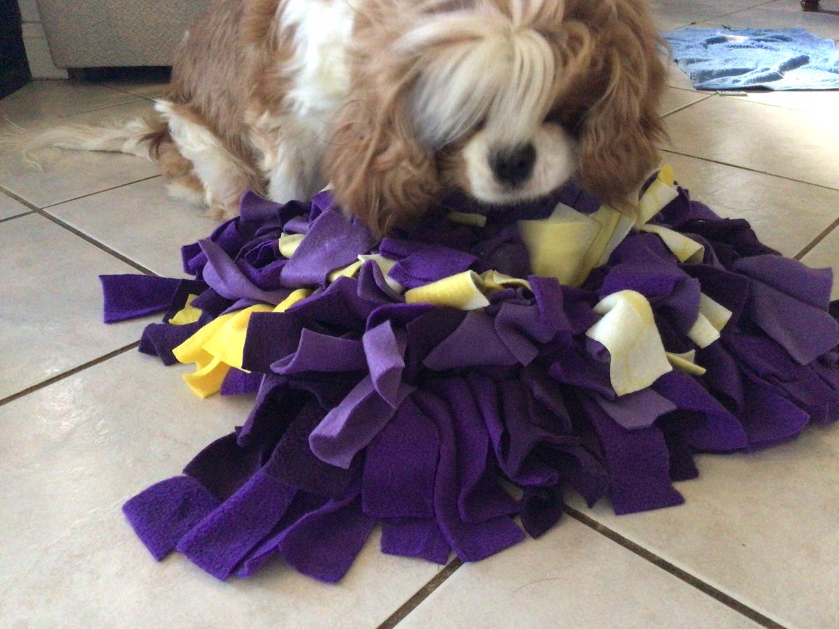 Rybinna's tweet image. A friend made Tarleigh Ann a snuffle matt and she loves it