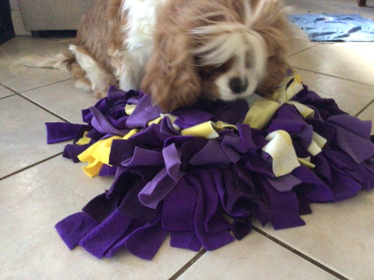 Rybinna's tweet image. A friend made Tarleigh Ann a snuffle matt and she loves it