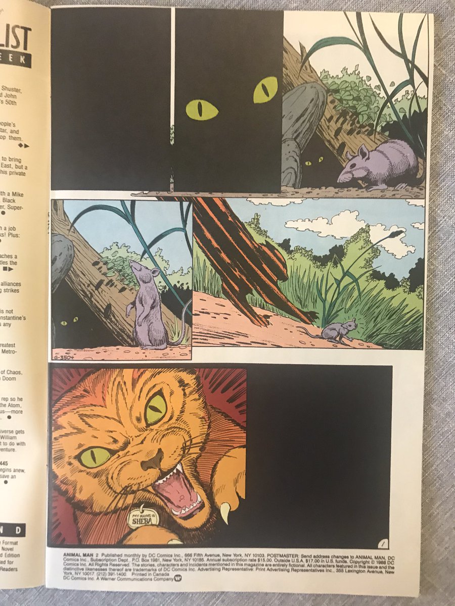 I feel like the seeds for We3 are growing here to a degree. Morrison does this looming, predatory, male, evil thing so well that despite there being a huge fight with a giant rat/ Beast in this issue where Buddy loses an arm, this is the page that really frightens me.