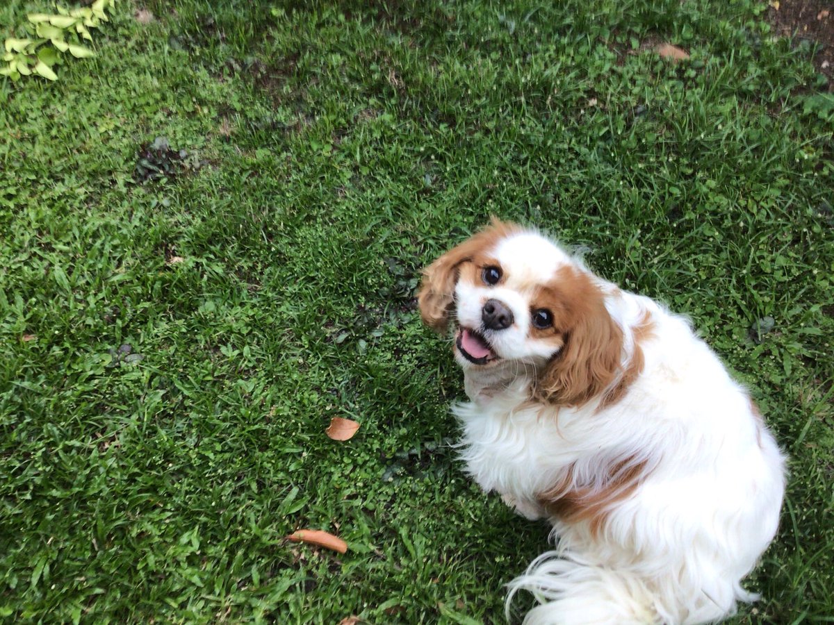 Rybinna's tweet image. Miss my baby girl