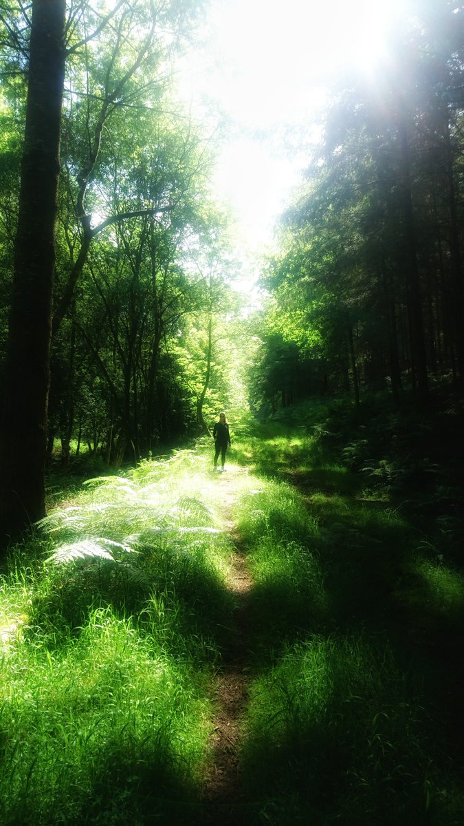 Nemophilist (pronounced ne-'mo-fe-list), is an obscure word that hasn't really been used for over 100 years. It means someone with a love or fondness for forests, woods, or woodland scenery, or someone who often visits them – a 'haunter' of woods. @WoodlandTrust