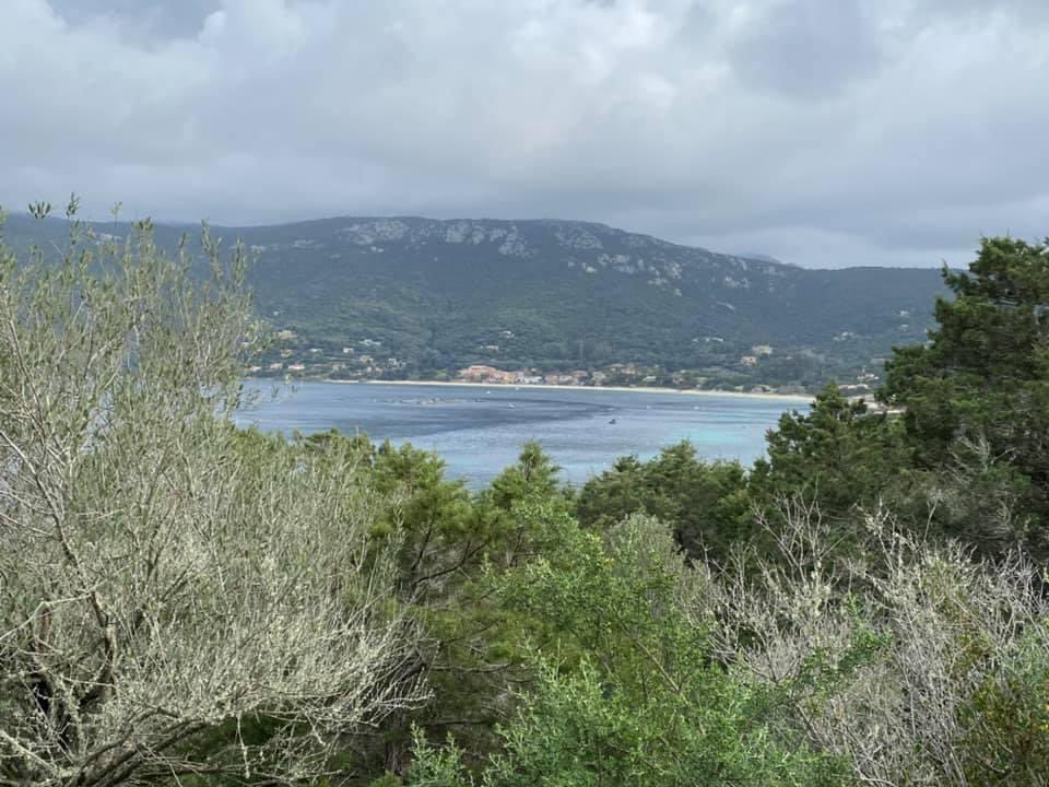 Susana Dias Ribeiro (@susanadiasribe2) on Twitter photo 