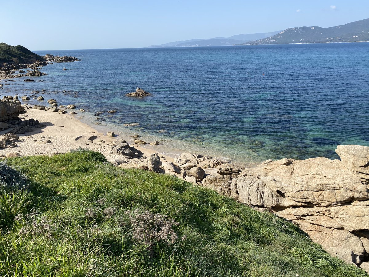 Susana Dias Ribeiro (@susanadiasribe2) on Twitter photo 